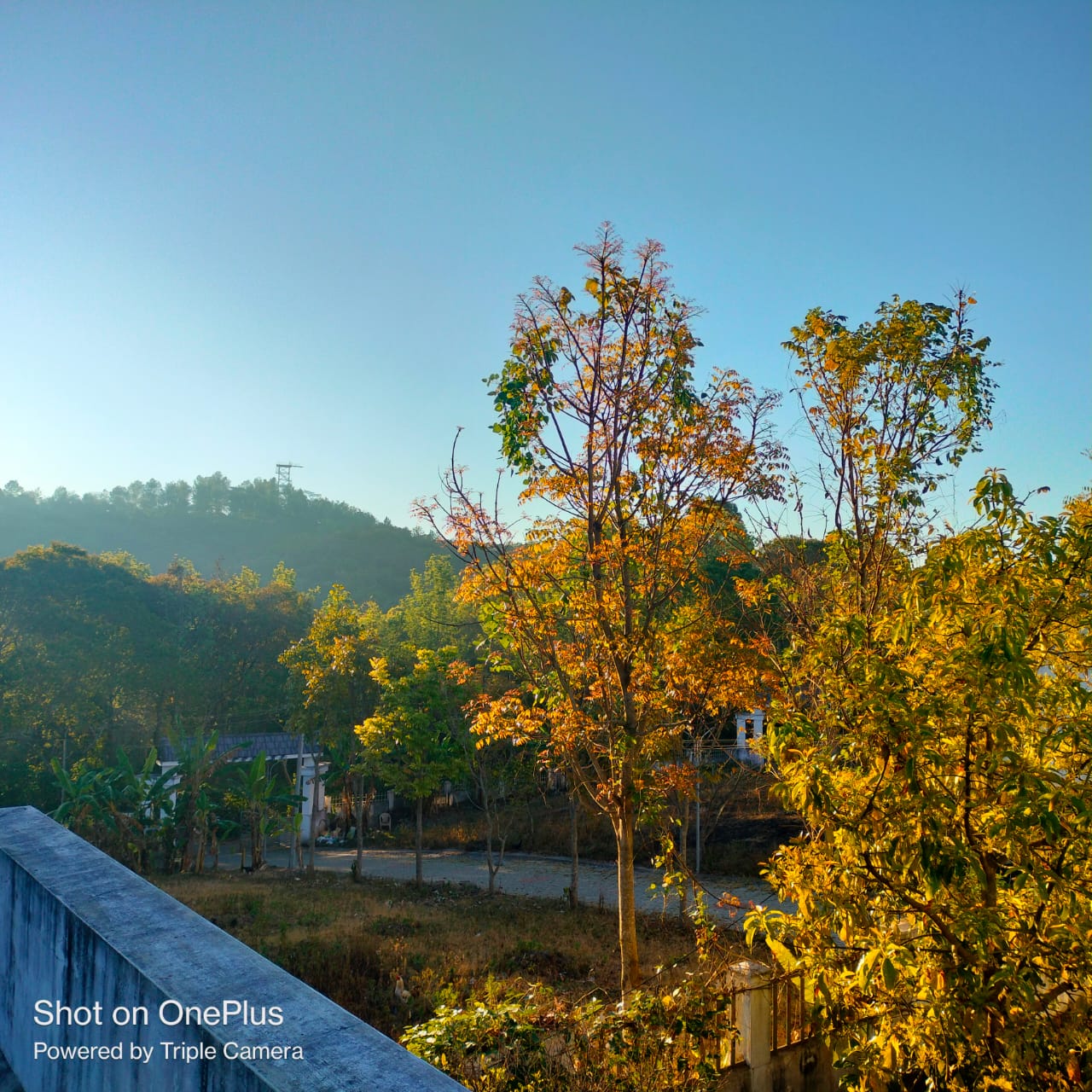 Best cottage rooms in Yercaud